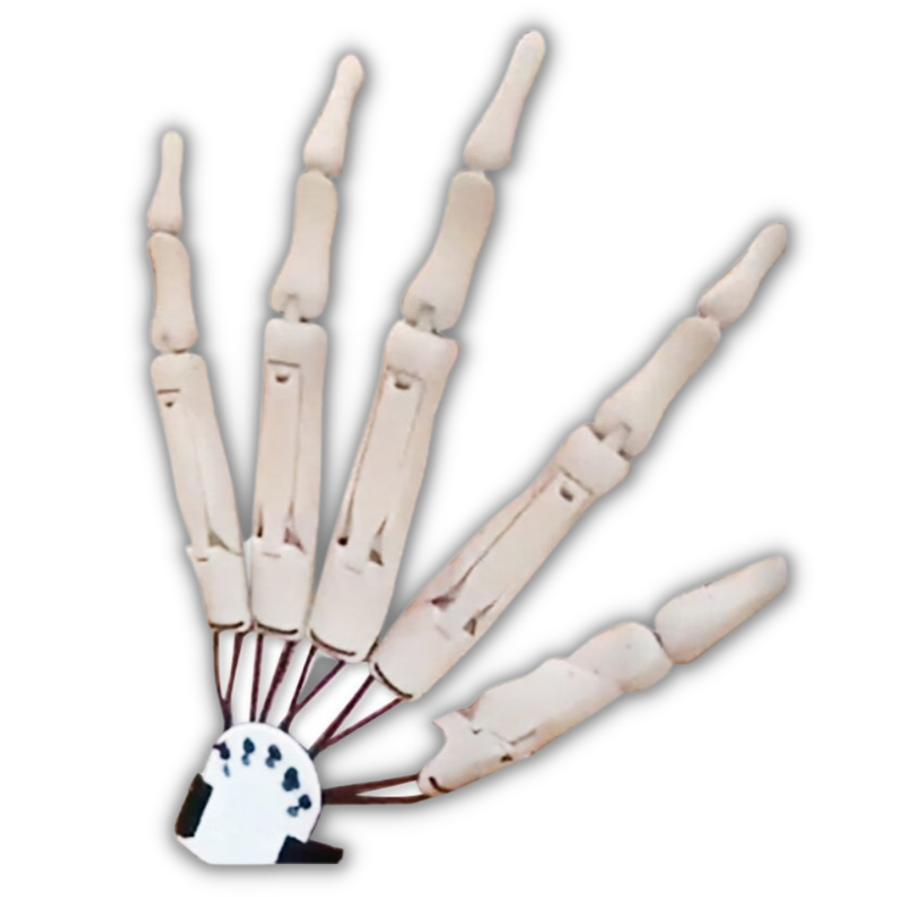 Gants mains de squelette