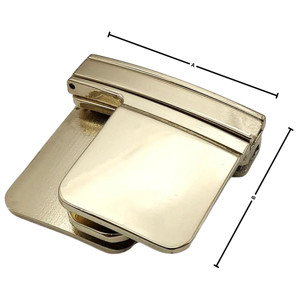 Clip de ceinture invisible