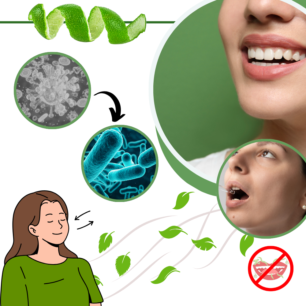 Purificateur d'haleine à la menthe